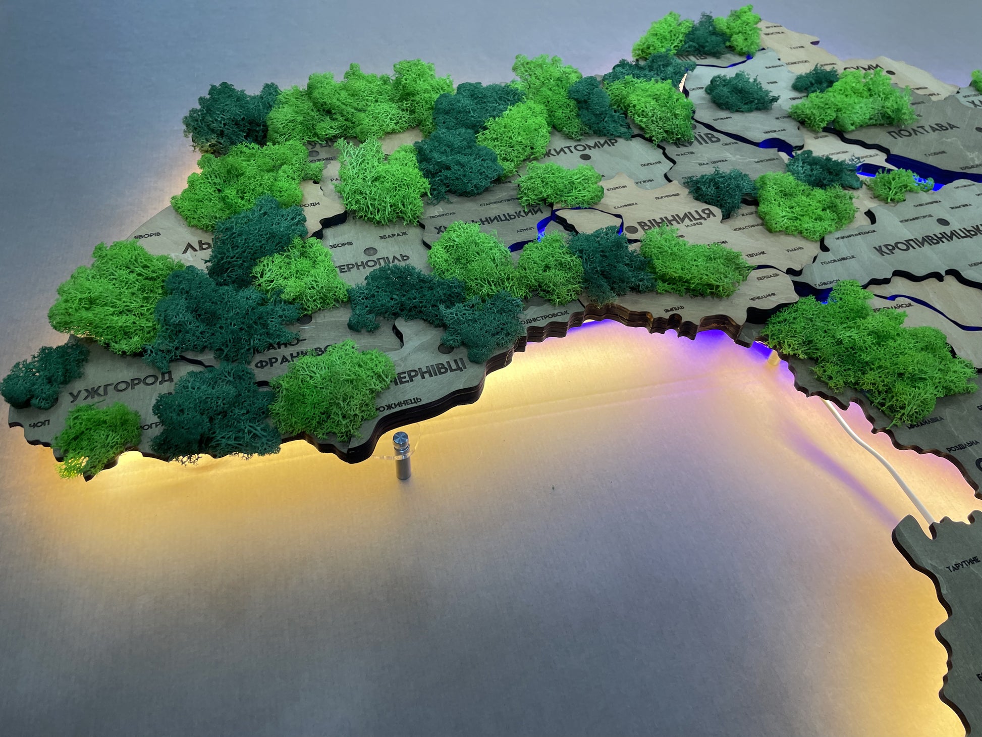 Detailed multilayer Ukraine LED map with backlighting of rivers and moss color Light Tree