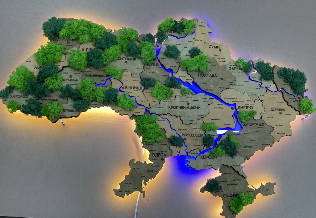 Detailed multilayer Ukraine LED map with backlighting of rivers and moss color Light Tree