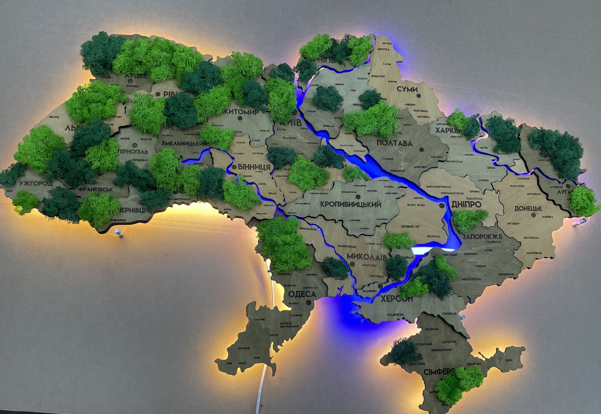 Detailed multilayer Ukraine LED map with backlighting of rivers and moss color Light Tree