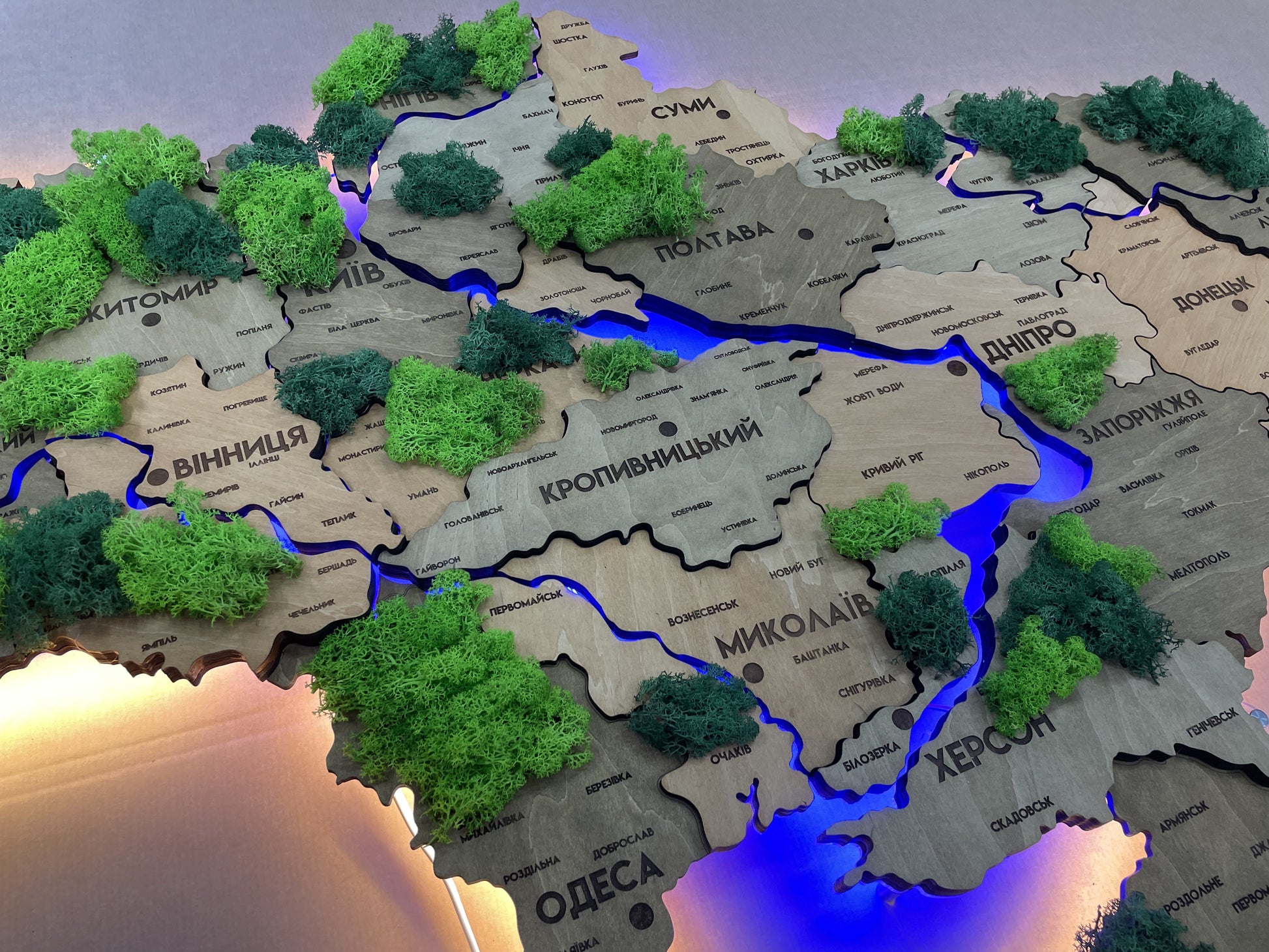 Detailed multilayer Ukraine LED map with backlighting of rivers and moss color Light Tree